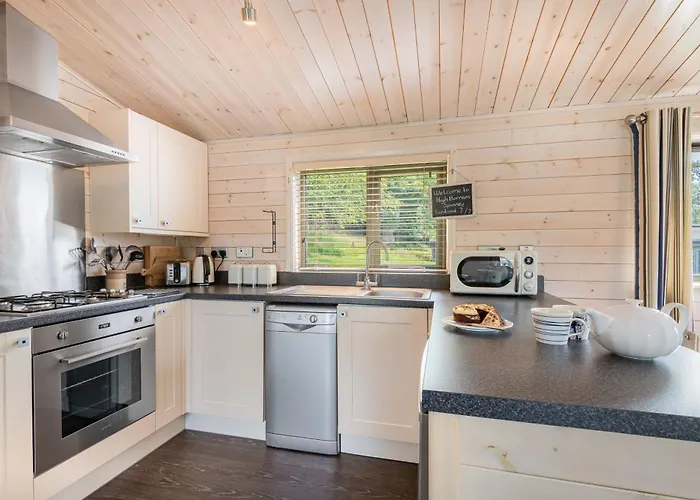 Spinney - High Borrans Farm *