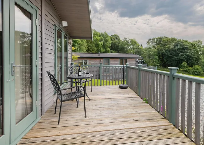 Spinney - High Borrans Farm *