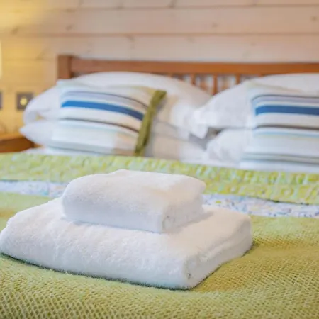 Spinney - High Borrans Farm Semesterbostad Ings (Cumbria)